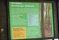 Der Gevelsberger Stadtwald ist ein FFH Gebiet und bietet viele sch&ouml;ne Rundwanderwege!